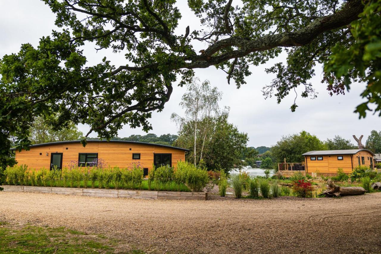 Sumners Ponds Fishery & Campsite Hotel Horsham Eksteriør billede