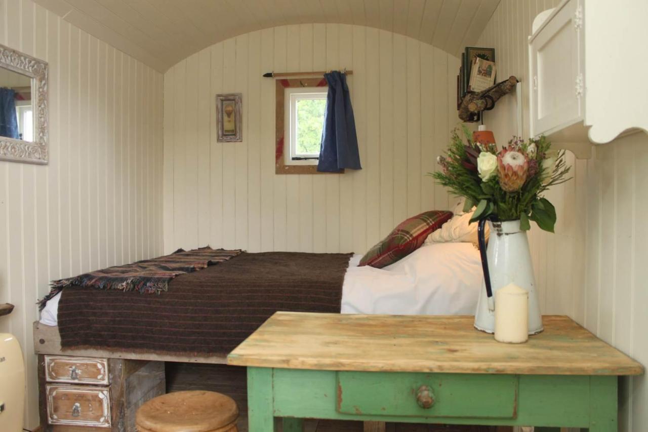 Sumners Ponds Fishery & Campsite Hotel Horsham Eksteriør billede